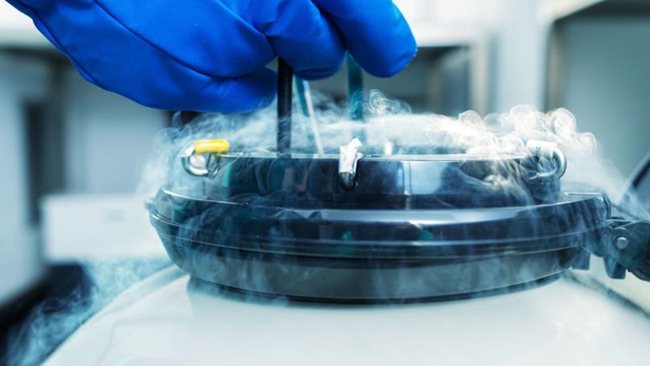 Egg Freezing at Lister Fertility Clinic
