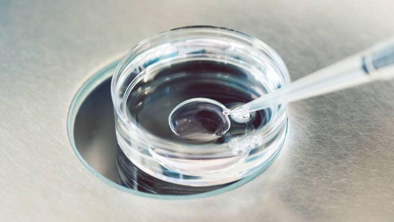 IVF treatment at Lister Fertility Clinic