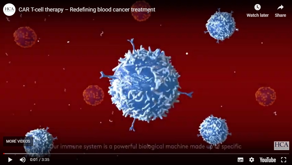 CAR T-cell therapy video graphic