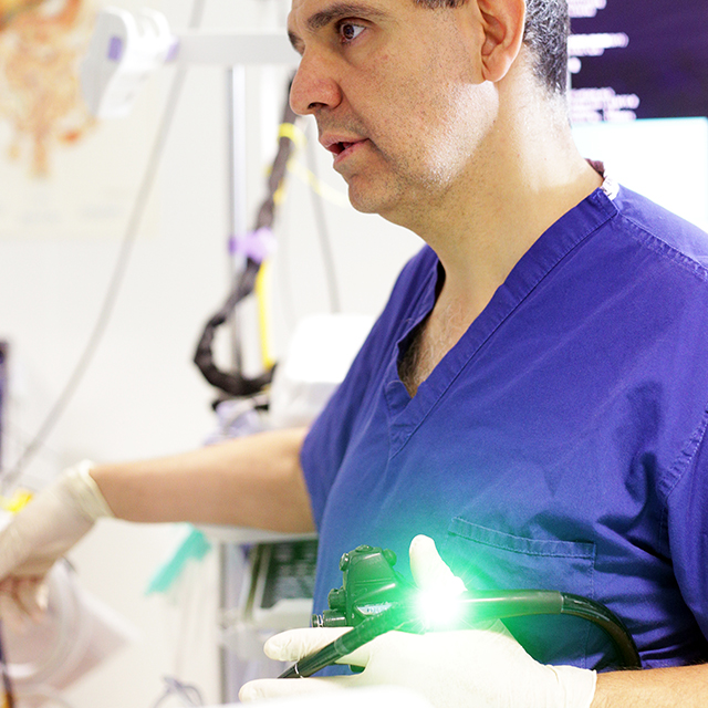 Wellington Gastroscopy