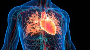 Atrial flutter Oliver Segal