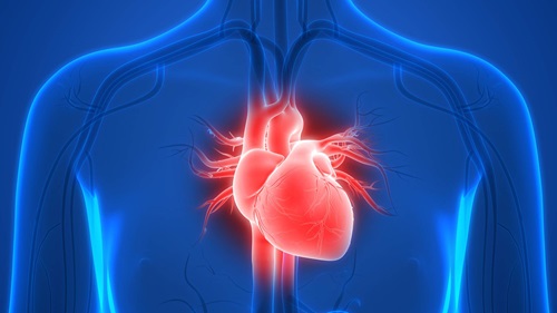 Heart Condition Oliver Segal
