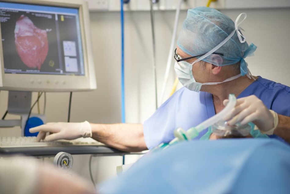 Consultant performing cardiac treatment